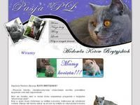 http://www.kotyzpasja.pl